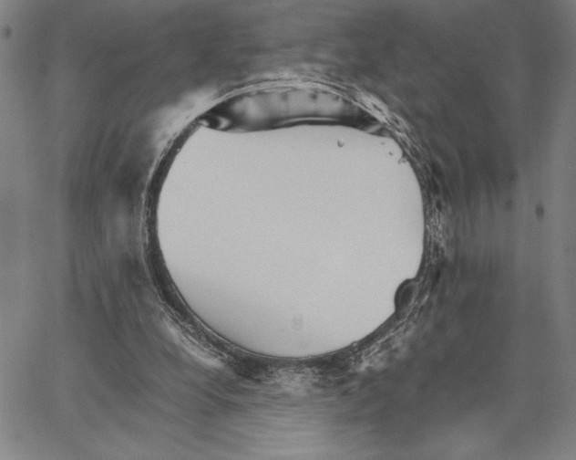 X0000066080248200604071739