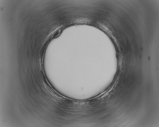 X0000066080249200604071739