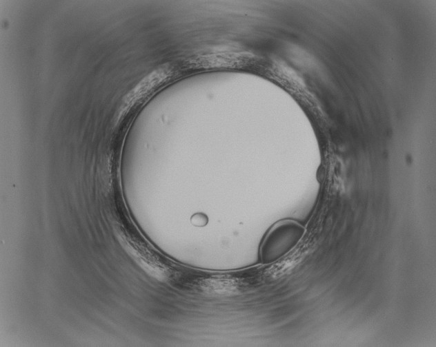 X0000066080250200604071739