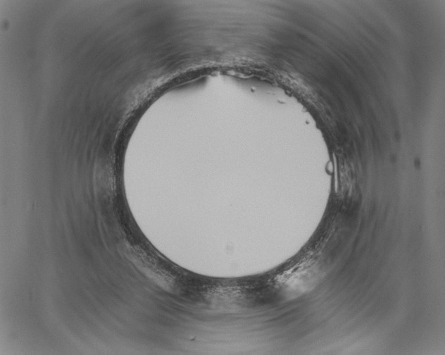 X0000066080252200604071739