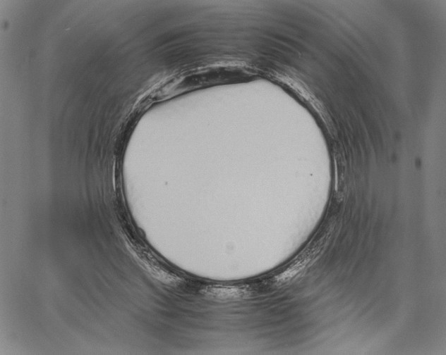 X0000066080253200604071739