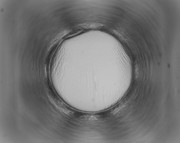 X0000066080254200604071739