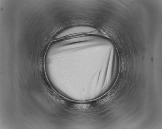 X0000066080255200604071739