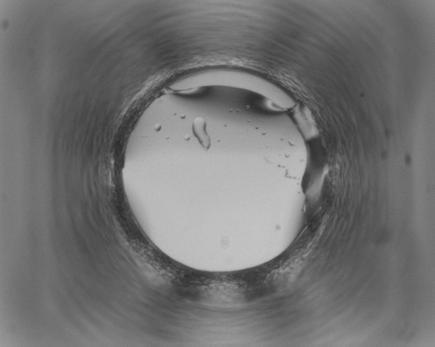 X0000066080256200604071739