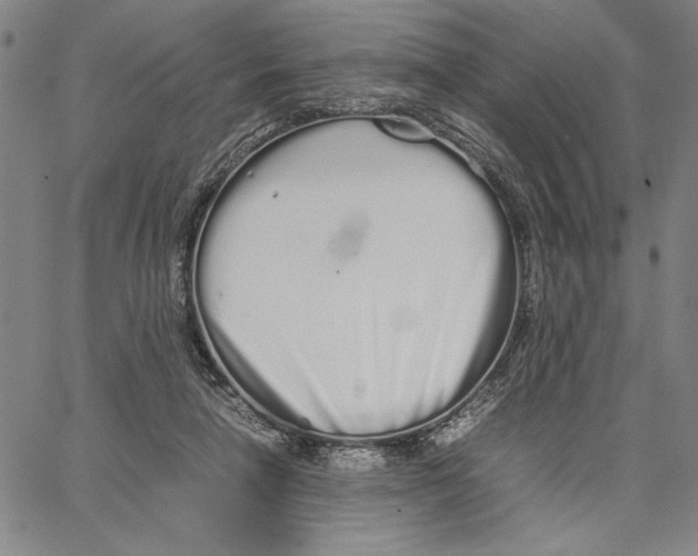 X0000066080258200604071739