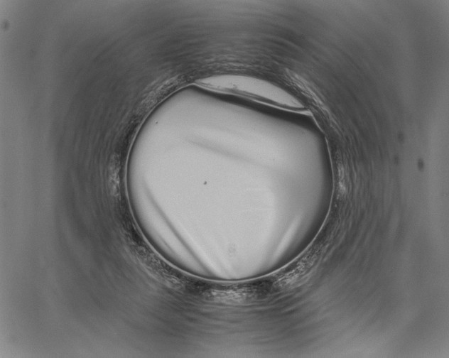 X0000066080259200604071739