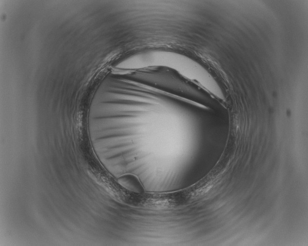 X0000066080260200604071739