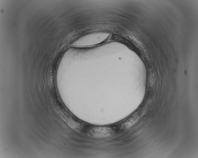 X0000066080261200604071739