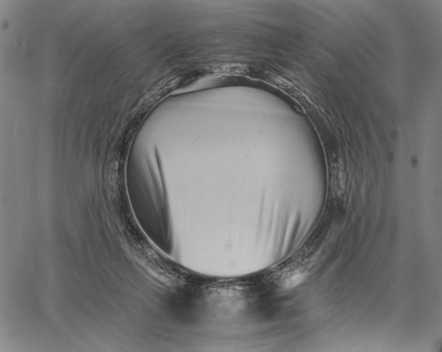 X0000066080263200604071739