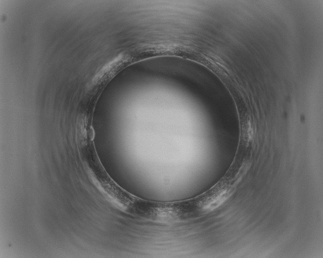 X0000066080264200604071739