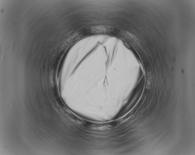 X0000066080267200604071739