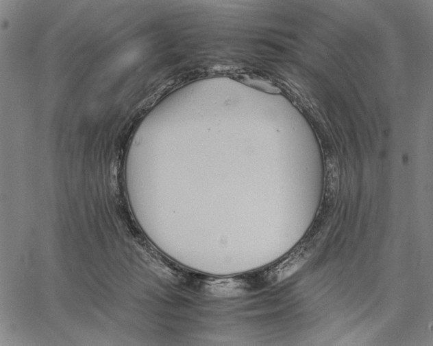 X0000066080269200604071739