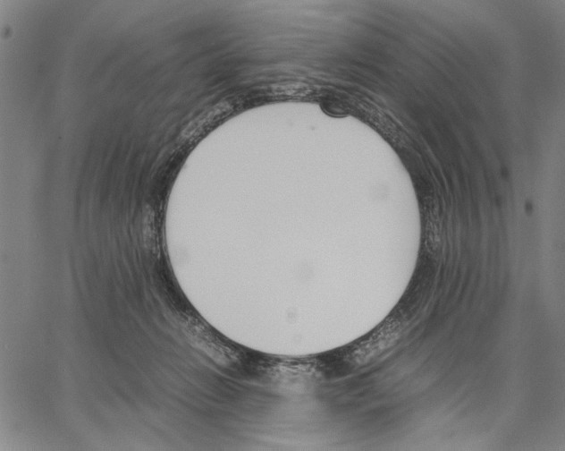 X0000066080270200604071739