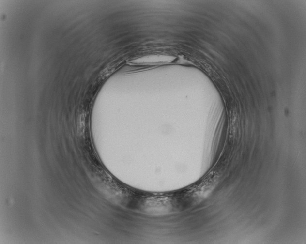 X0000066080271200604071739