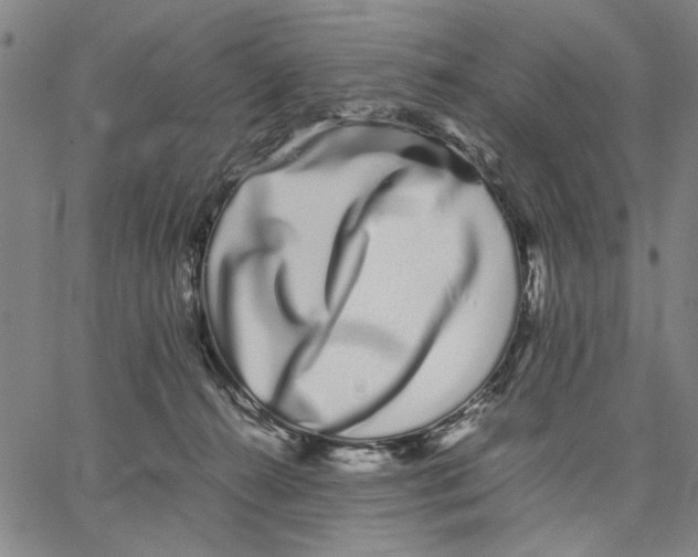 X0000066080272200604071739