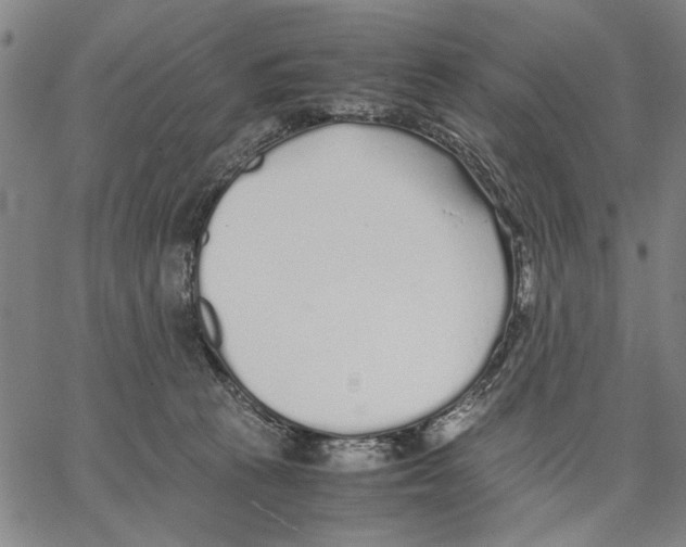 X0000066080273200604071739