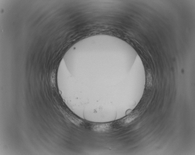 X0000066080274200604071739