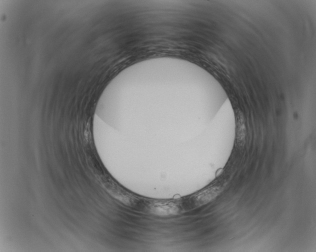 X0000066080275200604071739