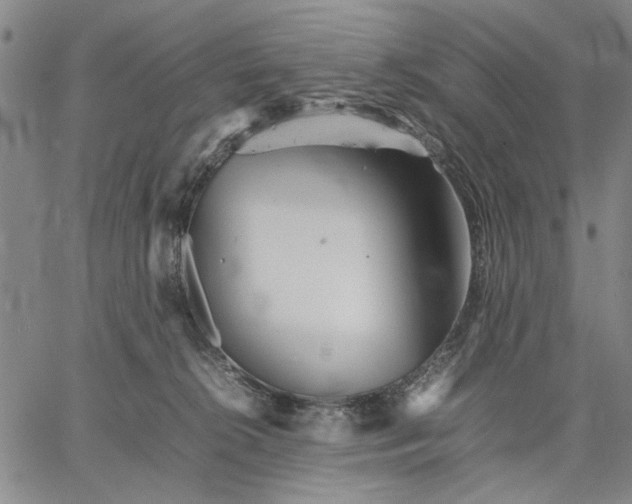 X0000066080276200604071739