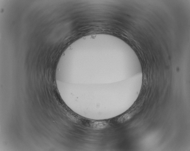 X0000066080277200604071739