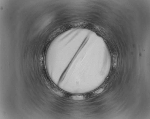 X0000066080279200604071739