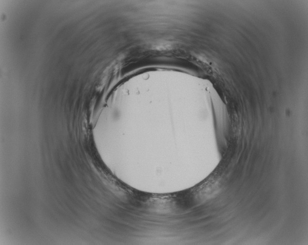 X0000066080280200604071739