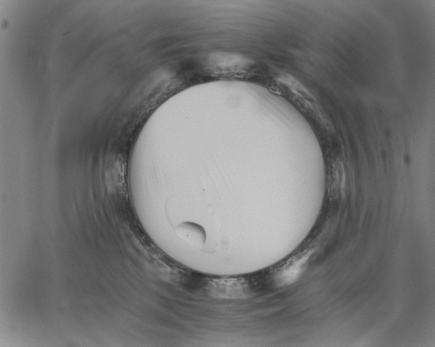 X0000066080281200604071739