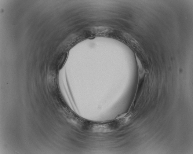 X0000066080283200604071739