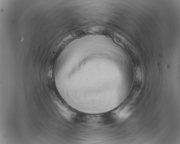 X0000066080284200604071739