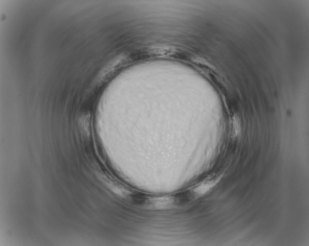 X0000066080286200604071739