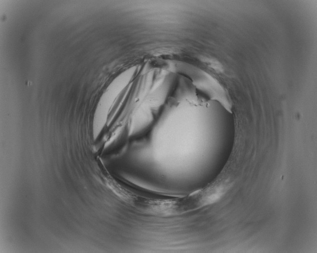 X0000066080288200604071739