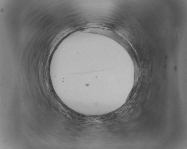 X0000066080289200604071739