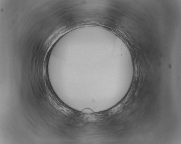 X0000066080290200604071739