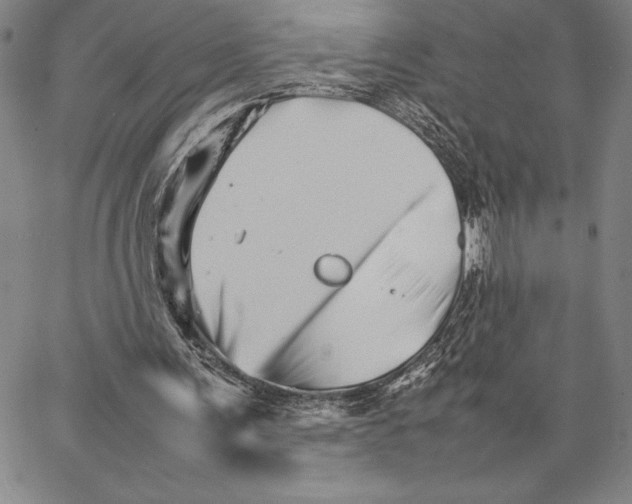 X0000066080291200604071739