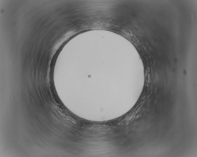 X0000066080292200604071739