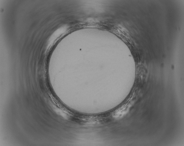 X0000066080293200604071739