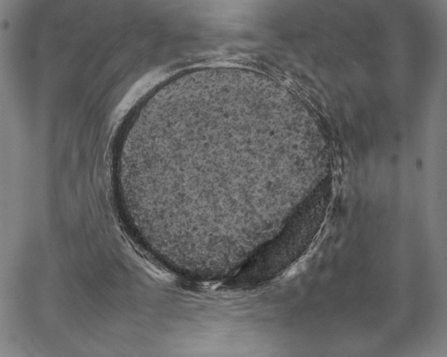 X0000066080295200604071739