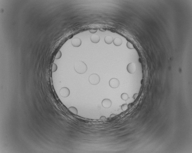 X0000066080297200604071739