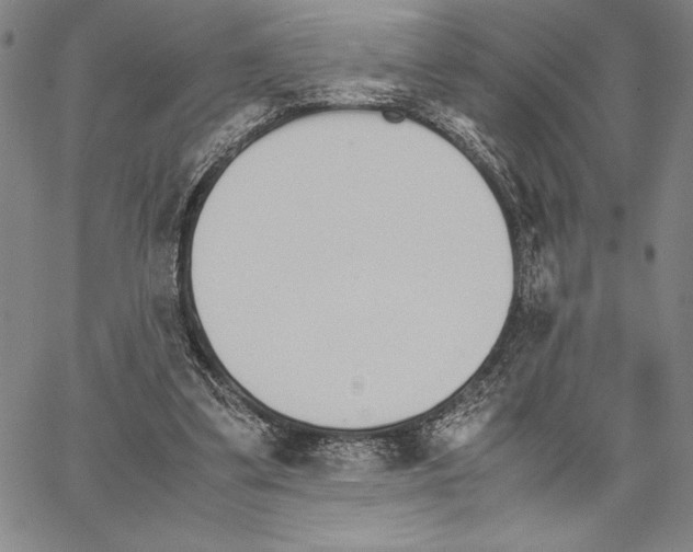 X0000066080299200604071738