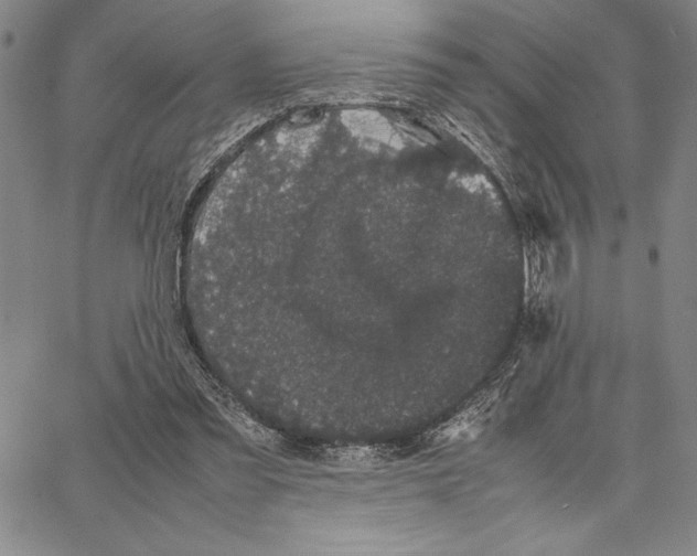 X0000066080301200604071738