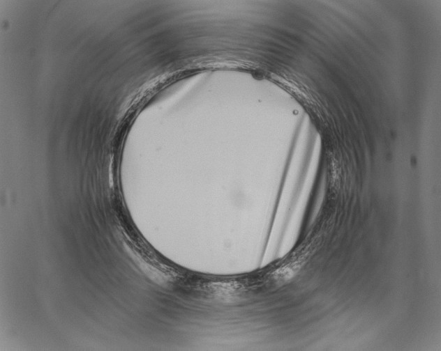 X0000066080302200604071738