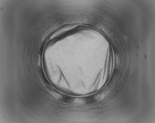 X0000066080303200604071738