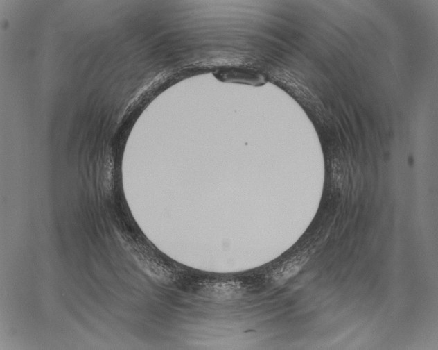 X0000066080304200604071738