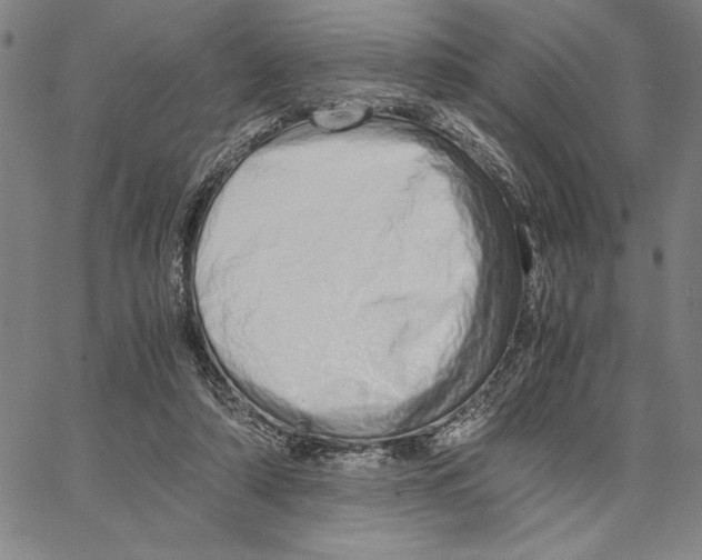 X0000066080306200604071738