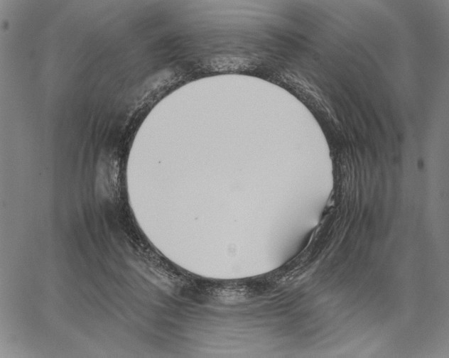 X0000066080308200604071738