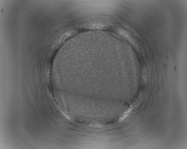 X0000066080309200604071738