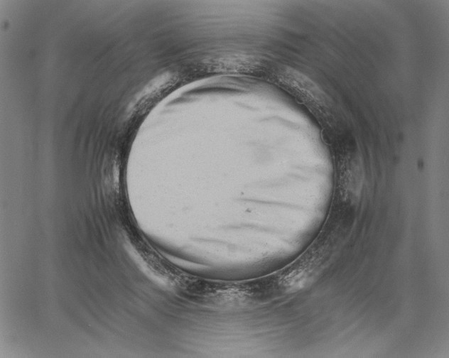 X0000066080310200604071738