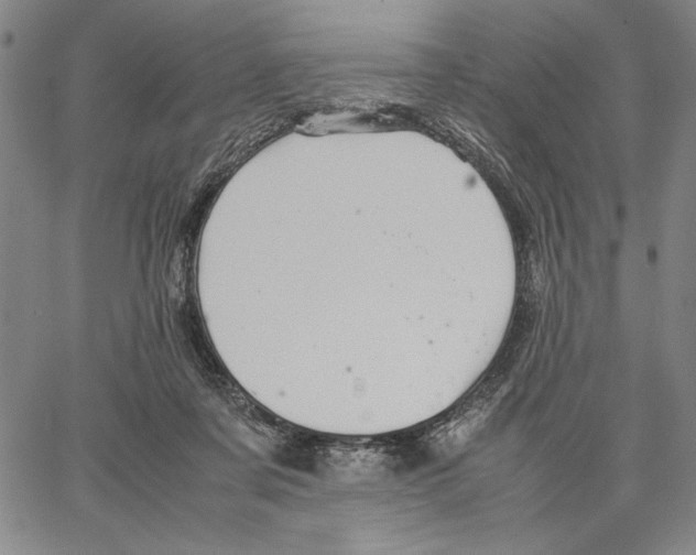 X0000066080311200604071738