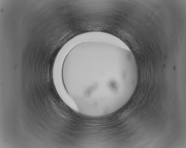 X0000066080312200604071738