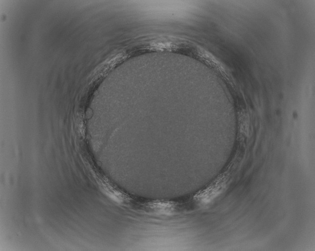 X0000066080313200604071738